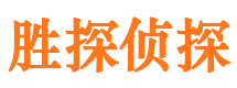 新和侦探公司